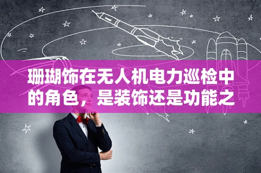 珊瑚饰在无人机电力巡检中的角色，是装饰还是功能之选？
