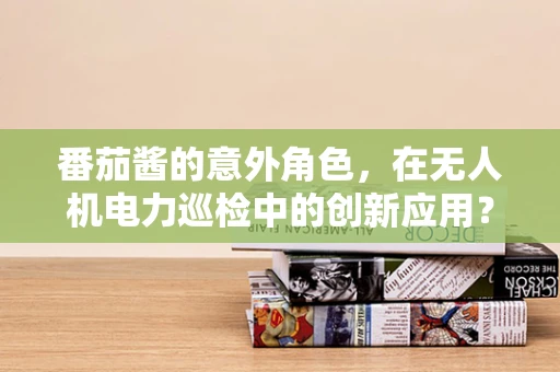 番茄酱的意外角色，在无人机电力巡检中的创新应用？
