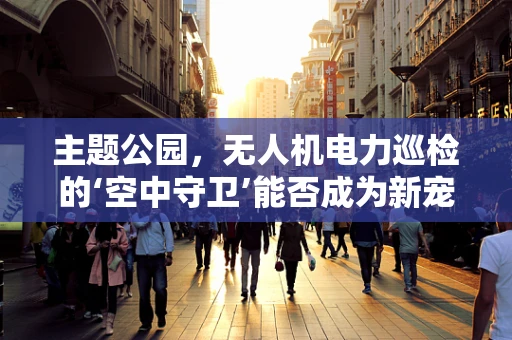 主题公园，无人机电力巡检的‘空中守卫’能否成为新宠？