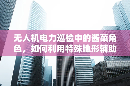 无人机电力巡检中的酱菜角色，如何利用特殊地形辅助提高效率？