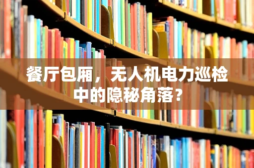 餐厅包厢，无人机电力巡检中的隐秘角落？