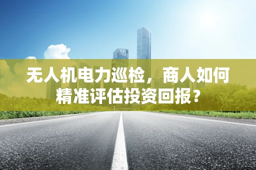 无人机电力巡检，商人如何精准评估投资回报？