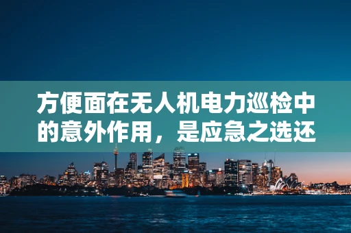 方便面在无人机电力巡检中的意外作用，是应急之选还是创新思路？