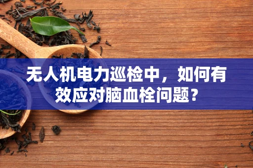 无人机电力巡检中，如何有效应对脑血栓问题？