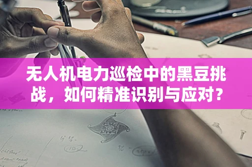 无人机电力巡检中的黑豆挑战，如何精准识别与应对？