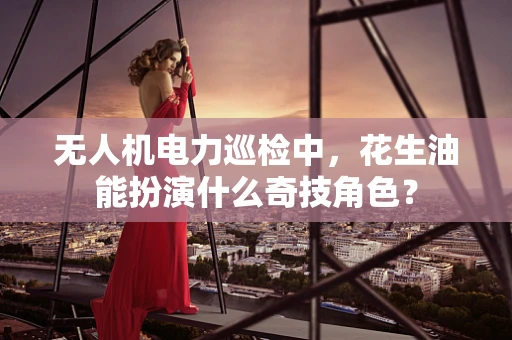无人机电力巡检中，花生油能扮演什么奇技角色？