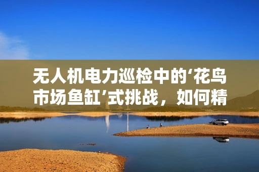 无人机电力巡检中的‘花鸟市场鱼缸’式挑战，如何精准定位与避障？