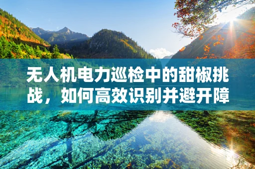 无人机电力巡检中的甜椒挑战，如何高效识别并避开障碍？