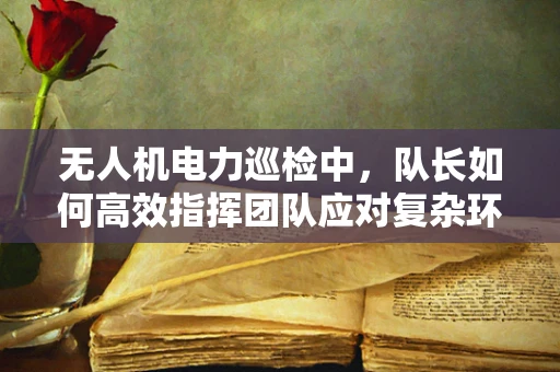 无人机电力巡检中，队长如何高效指挥团队应对复杂环境？