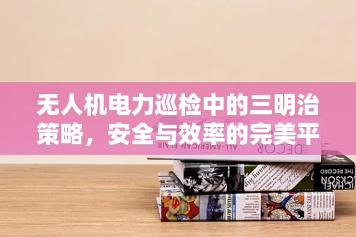 无人机电力巡检中的三明治策略，安全与效率的完美平衡？