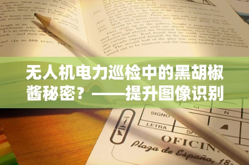 无人机电力巡检中的黑胡椒酱秘密？——提升图像识别精度的非传统方法