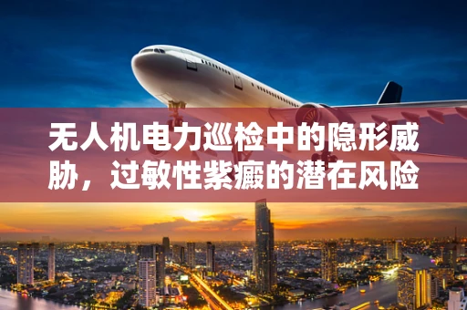 无人机电力巡检中的隐形威胁，过敏性紫癜的潜在风险