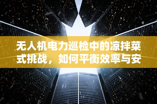 无人机电力巡检中的凉拌菜式挑战，如何平衡效率与安全？