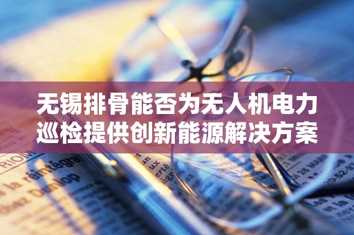 无锡排骨能否为无人机电力巡检提供创新能源解决方案？