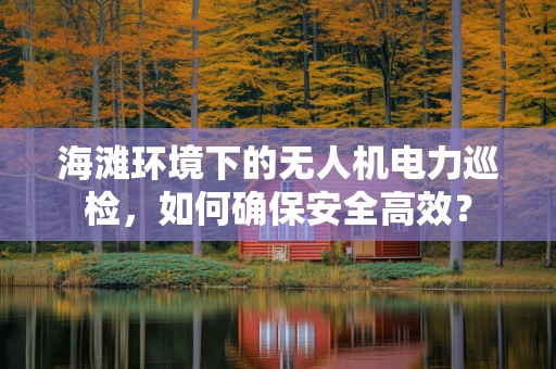 海滩环境下的无人机电力巡检，如何确保安全高效？