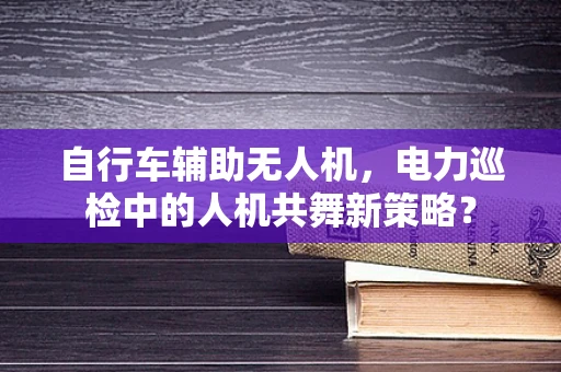 自行车辅助无人机，电力巡检中的人机共舞新策略？