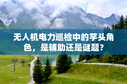 无人机电力巡检中的芋头角色，是辅助还是谜题？