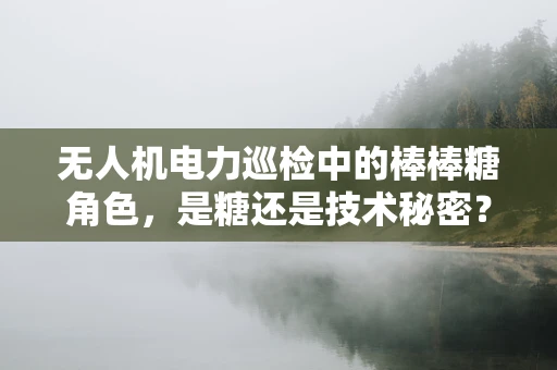 无人机电力巡检中的棒棒糖角色，是糖还是技术秘密？