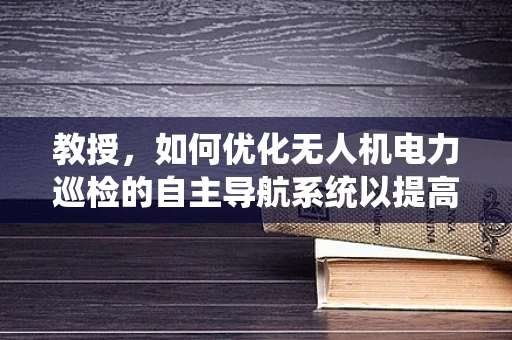 教授，如何优化无人机电力巡检的自主导航系统以提高效率？