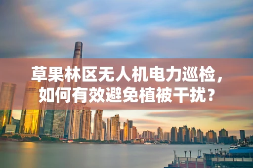 草果林区无人机电力巡检，如何有效避免植被干扰？