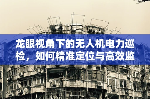 龙眼视角下的无人机电力巡检，如何精准定位与高效监测？