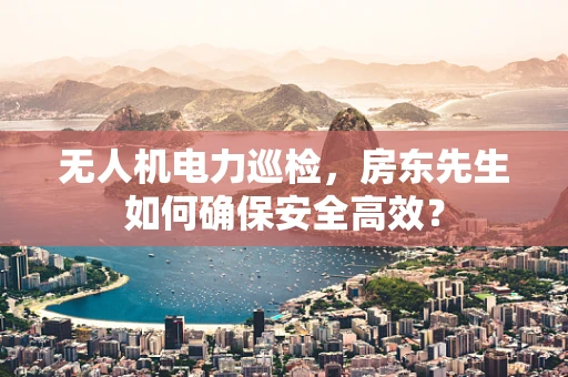无人机电力巡检，房东先生如何确保安全高效？