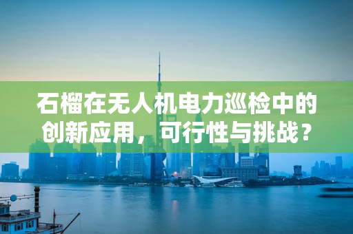 石榴在无人机电力巡检中的创新应用，可行性与挑战？