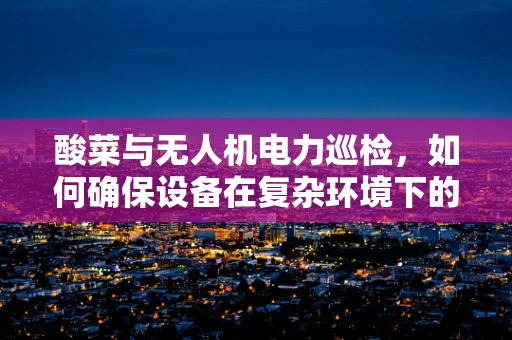 酸菜与无人机电力巡检，如何确保设备在复杂环境下的安全运行？