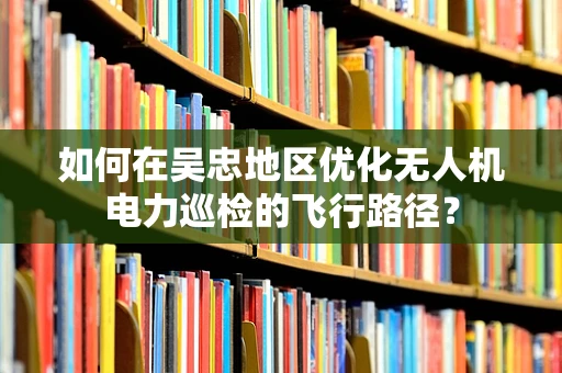 如何在吴忠地区优化无人机电力巡检的飞行路径？