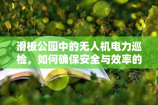 滑板公园中的无人机电力巡检，如何确保安全与效率的平衡？