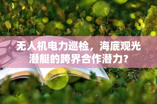 无人机电力巡检，海底观光潜艇的跨界合作潜力？