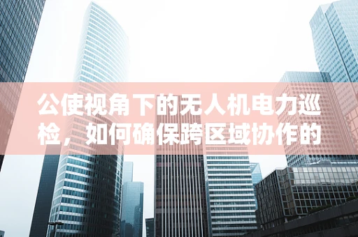 公使视角下的无人机电力巡检，如何确保跨区域协作的效率与安全？