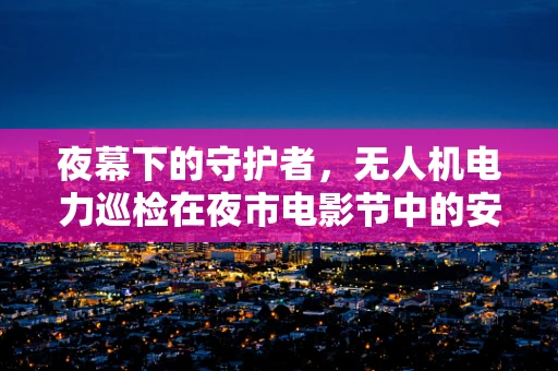 夜幕下的守护者，无人机电力巡检在夜市电影节中的安全角色