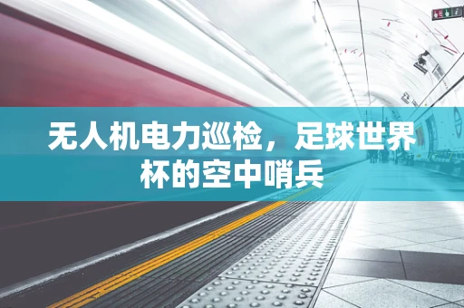 无人机电力巡检，足球世界杯的空中哨兵