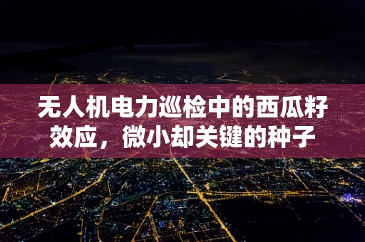 无人机电力巡检中的西瓜籽效应，微小却关键的种子
