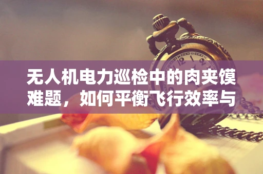 无人机电力巡检中的肉夹馍难题，如何平衡飞行效率与精准定位？