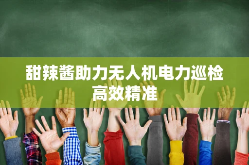 甜辣酱助力无人机电力巡检高效精准