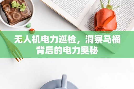 无人机电力巡检，洞察马桶背后的电力奥秘