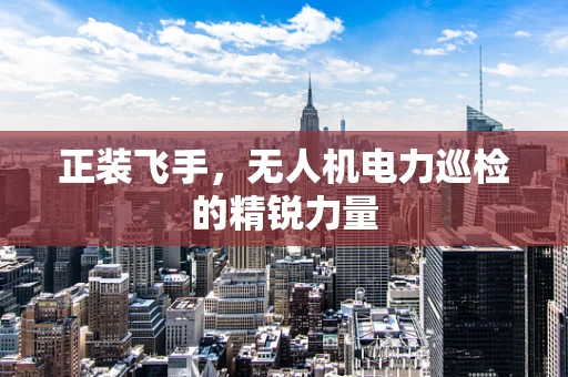 正装飞手，无人机电力巡检的精锐力量