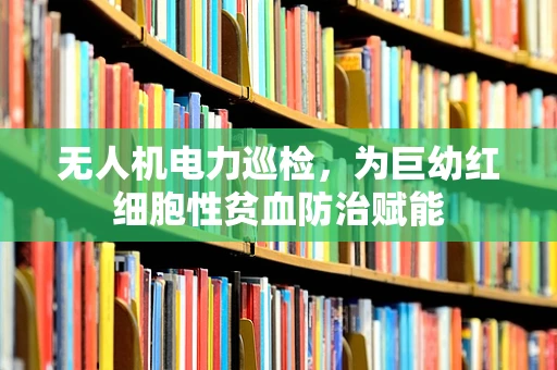 无人机电力巡检，为巨幼红细胞性贫血防治赋能
