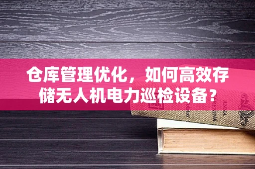 仓库管理优化，如何高效存储无人机电力巡检设备？