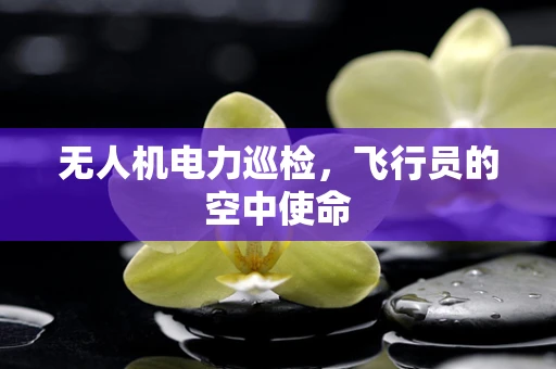 无人机电力巡检，飞行员的空中使命
