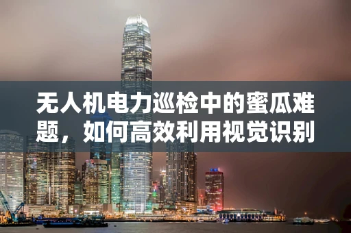 无人机电力巡检中的蜜瓜难题，如何高效利用视觉识别技术？