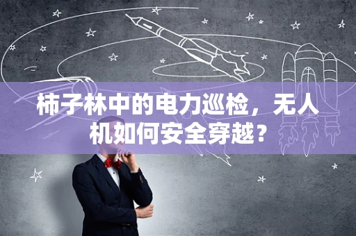 柿子林中的电力巡检，无人机如何安全穿越？