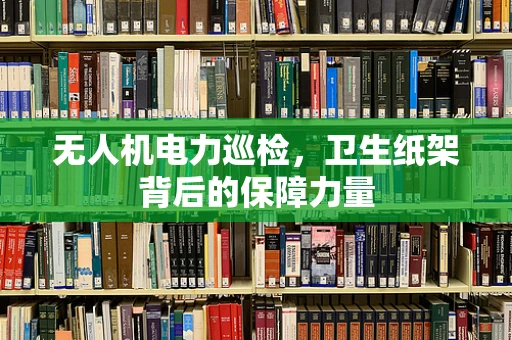 无人机电力巡检，卫生纸架背后的保障力量