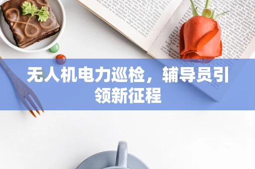 无人机电力巡检，辅导员引领新征程