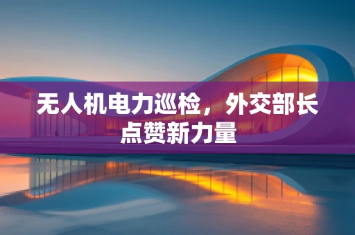 无人机电力巡检，外交部长点赞新力量