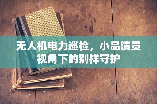 无人机电力巡检，小品演员视角下的别样守护