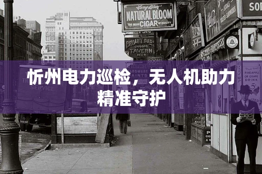 忻州电力巡检，无人机助力精准守护