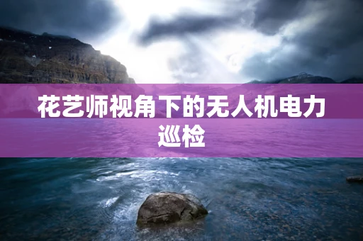 花艺师视角下的无人机电力巡检